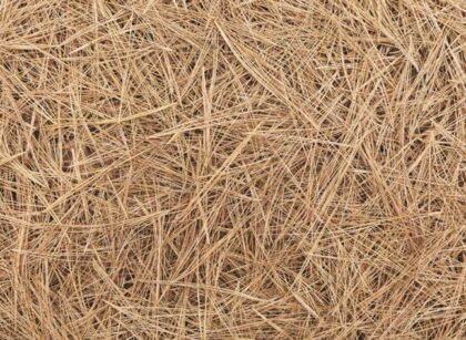 Pine Straw Mulch